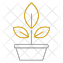 پیش‌نمایش فایل botany-27 از پک علم