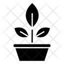 پیش‌نمایش فایل botany-28 از پک علم