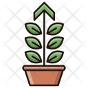 پیش‌نمایش فایل growth-567 از پک عملکرد