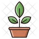 پیش‌نمایش فایل botany-35 از پک علم