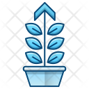 پیش‌نمایش فایل growth-654 از پک عملکرد