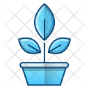 پیش‌نمایش فایل botany-38 از پک علم