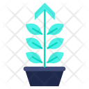 پیش‌نمایش فایل growth-683 از پک عملکرد