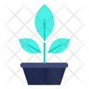 پیش‌نمایش فایل botany-39 از پک علم