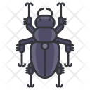پیش‌نمایش فایل beetle-37 از پک Animals 