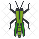 پیش‌نمایش فایل grasshopper-23 از پک Animals 