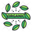پیش‌نمایش فایل organic-26 از پک رژیم و تناسب اندام