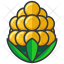 پیش‌نمایش فایل corn-197 از پک Fruit And Vegetable 