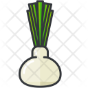 پیش‌نمایش فایل fennel-7 از پک Fruit And Vegetable 