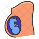 پیش‌نمایش فایل pregnancy-3 از پک Medical 