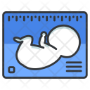پیش‌نمایش فایل pregnancy-report-5 از پک Medical 