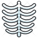 پیش‌نمایش فایل rib از پک Medical 