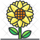 پیش‌نمایش فایل sunflower-113 از پک گیاهان و درخت
