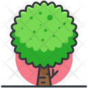 پیش‌نمایش فایل tree-843 از پک گیاهان و درخت
