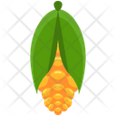 پیش‌نمایش فایل corn-200 از پک Agriculture 