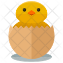 پیش‌نمایش فایل hatching-chick از پک Agriculture 
