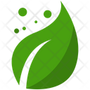 پیش‌نمایش فایل leaf-449 از پک Agriculture 