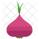پیش‌نمایش فایل onion-123 از پک Agriculture 