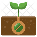 پیش‌نمایش فایل planting-39 از پک Agriculture 