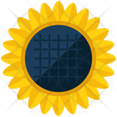 پیش‌نمایش فایل sunflower-114 از پک Agriculture 