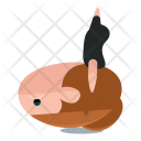 آیکن