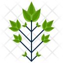پیش‌نمایش فایل leaf-453 از پک Leaf 
