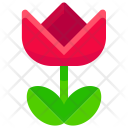 پیش‌نمایش فایل flower-1207 از پک Photography 