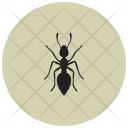پیش‌نمایش فایل ant-50 از پک Animals 