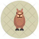 پیش‌نمایش فایل camel-79 از پک Animals 