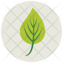 پیش‌نمایش فایل leaf-480 از پک Ecology 