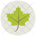 پیش‌نمایش فایل leaf-481 از پک Ecology 