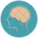 پیش‌نمایش فایل biology-97 از پک Education And Science 