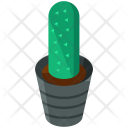 پیش‌نمایش فایل cactus-164 از پک Nature 