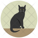 پیش‌نمایش فایل cat-397 از پک Halloween 