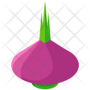 پیش‌نمایش فایل beet-69 از پک Vegetable And Fruits 