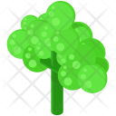 پیش‌نمایش فایل broccoli-89 از پک Vegetable And Fruits 