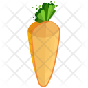 پیش‌نمایش فایل carrot-308 از پک Vegetable And Fruits 