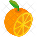 پیش‌نمایش فایل orange-304 از پک Vegetable And Fruits 