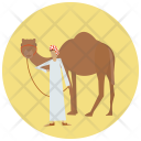 پیش‌نمایش فایل camel-81 از پک Nature 