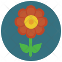 پیش‌نمایش فایل flower-1264 از پک Nature 