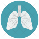 پیش‌نمایش فایل lungs-115 از پک Smoking 