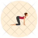 پیش‌نمایش فایل cat-pose-1 از پک حالت‌های یوگا