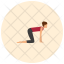 پیش‌نمایش فایل cat-pose از پک حالت‌های یوگا