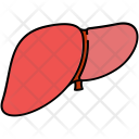 پیش‌نمایش فایل liver-61 از پک Medicine 
