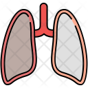 پیش‌نمایش فایل lungs-120 از پک Medicine 