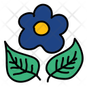 پیش‌نمایش فایل flower-1442 از پک Ecology 