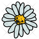 پیش‌نمایش فایل flower-1443 از پک Ecology 