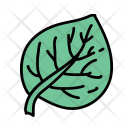پیش‌نمایش فایل leaf-551 از پک Ecology 