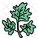 پیش‌نمایش فایل lettuce-26 از پک Food And Drinks 