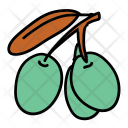 پیش‌نمایش فایل olives-11 از پک Food And Drinks 
